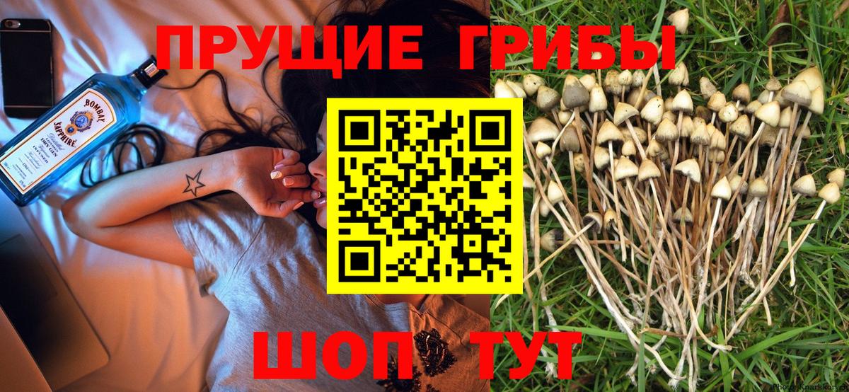 Псилоцибиновые грибы ЛСД Гудермес