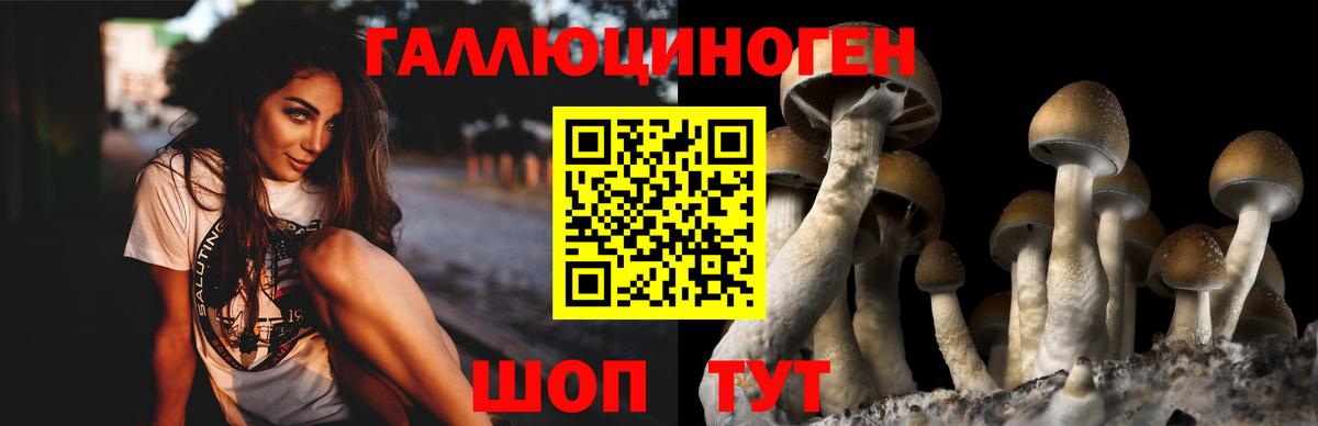 Галлюциногенные грибы MAGIC MUSHROOMS  Вход с VPN  Гудермес 