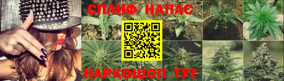 Бошки марихуана гибрид Гудермес